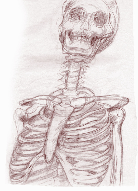 Study of skeleton and poses - Martin Mariezcurrena by martinmariez on  DeviantArt
